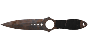 Rust Coat image