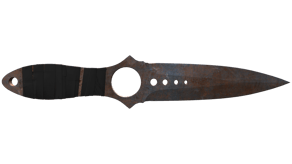 Rust Coat image