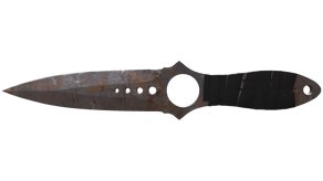 Rust Coat image
