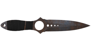 Rust Coat image
