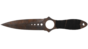Rust Coat image