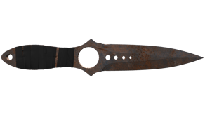 Rust Coat image