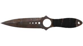 Rust Coat image