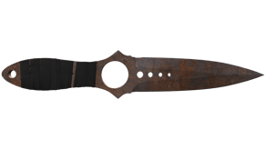 Rust Coat image