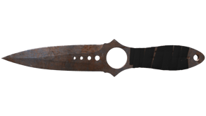Rust Coat image
