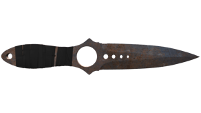 Rust Coat image