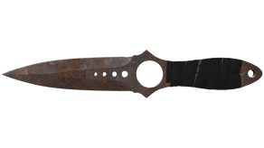 Rust Coat image