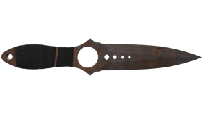 Rust Coat image