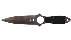 Rust Coat image