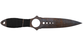 Rust Coat image