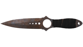 Rust Coat image