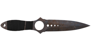 Rust Coat image