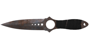 Rust Coat image