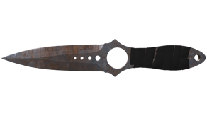 Rust Coat image