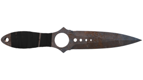Rust Coat image