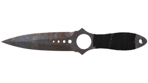 Rust Coat image