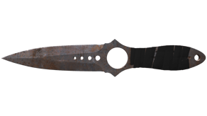 Rust Coat image