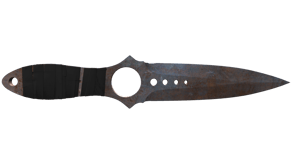 Rust Coat image