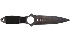 Rust Coat image