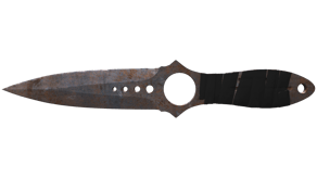 Rust Coat image