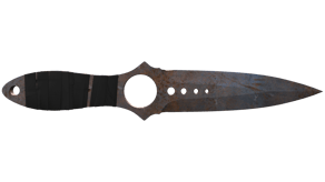 Rust Coat image
