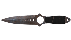Rust Coat image
