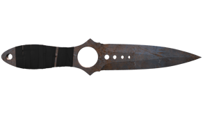 Rust Coat image
