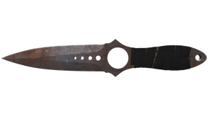 Rust Coat image