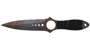 Rust Coat image