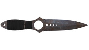 Rust Coat image