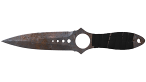 Rust Coat image