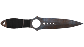 Rust Coat image