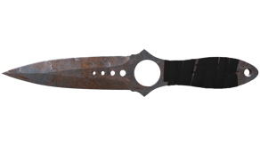 Rust Coat image