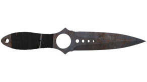 Rust Coat image