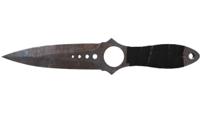 Rust Coat image
