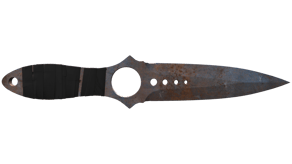 Rust Coat image