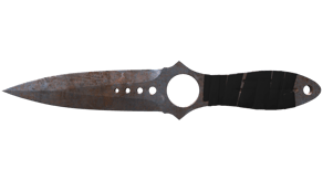 Rust Coat image