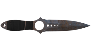 Rust Coat image