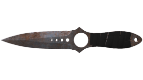 Rust Coat image