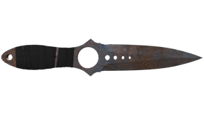 Rust Coat image