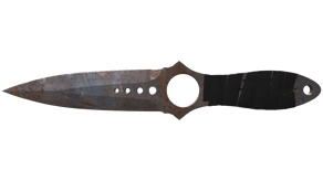 Rust Coat image