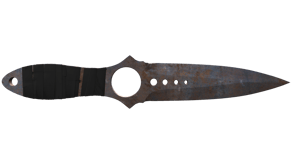 Rust Coat image