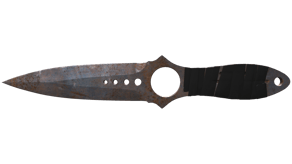 Rust Coat image