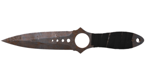 Rust Coat image