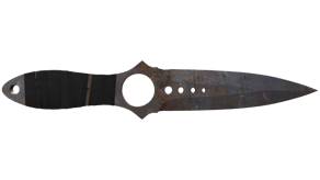 Rust Coat image