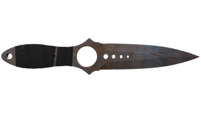 Rust Coat image