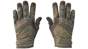 Buckshot image