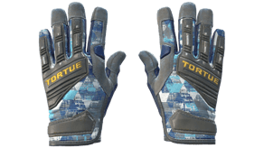 Mogul image