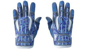 Amphibious image