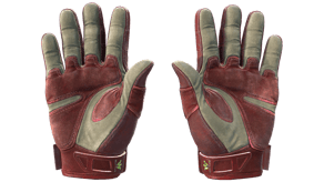 Bronze Morph image